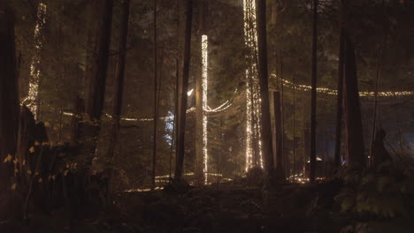 treetops in park decorated with warm christmas lights