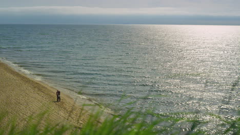 Couple-standing-beach-landscape.-Close-up-grass-blowing-wind-on-sea-background.