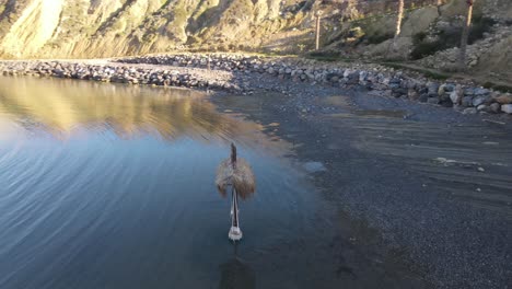 Natural-Swing-in-Shoreline