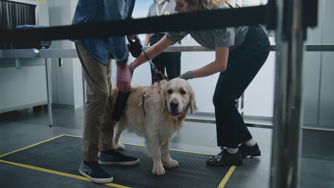 Airport Security with a Dog