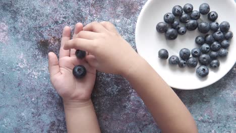 child picking blueberries