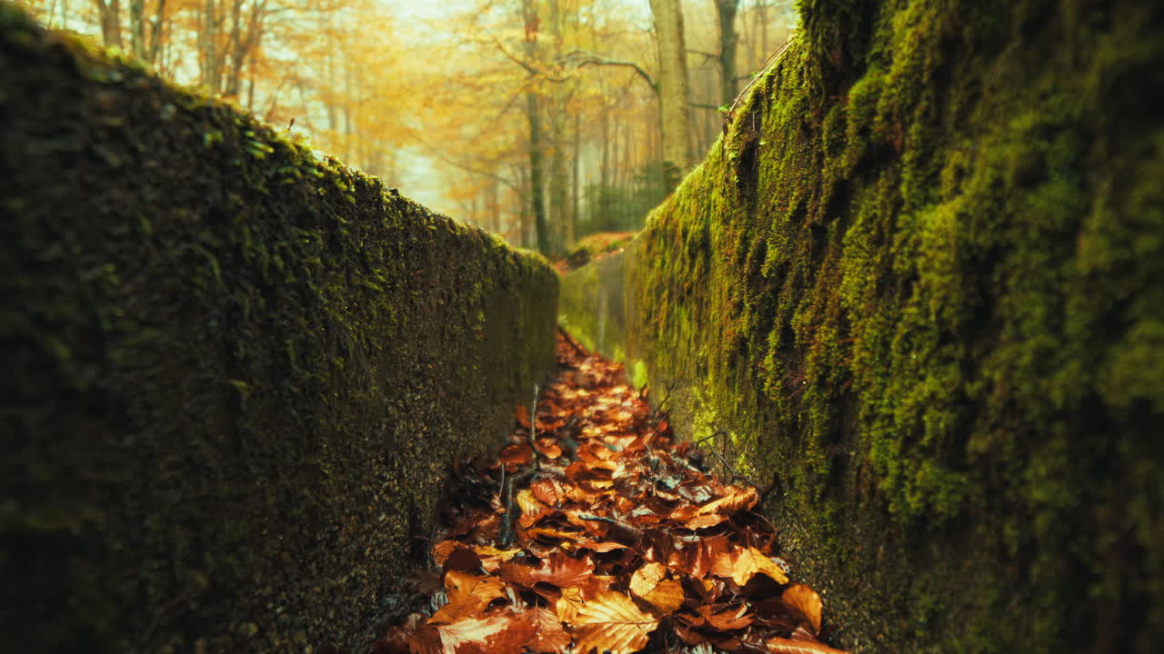 Mountain Tunnel With Dry Autumn Leaves Fallen Into a Drain Water