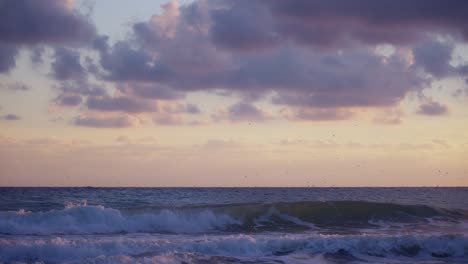 ocean waves with dramatic sky and birds flying on the background