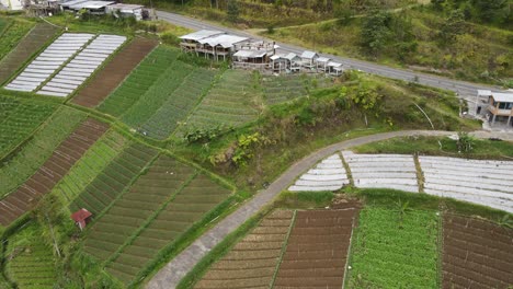 aerial view, rural scenery on the slopes of mount lawu, fields and winding roads located in tawangmangu, indonesia