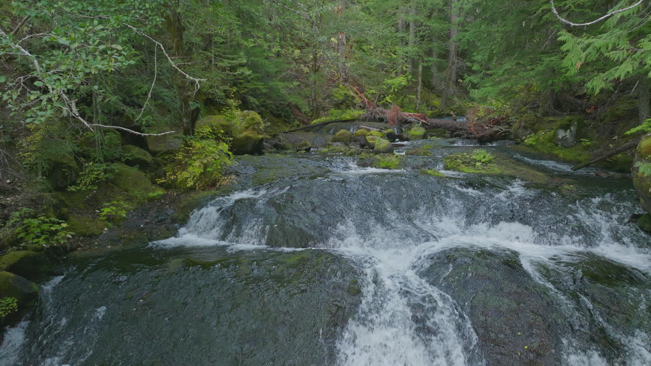 Falls Creek in Gifford Pinchot National Forest flowing over boulders, heading towards Falls Creek waterfall further downstream.