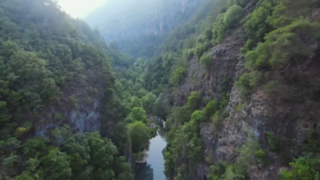 Aerial-fly-through-rocky-conglomerate-canyon-cliffs-with-tall-pine-trees-lining-path