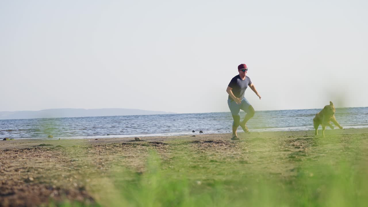 A man plays fetch with his golden retriever on a sunny beach by the water