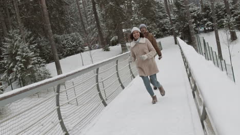 couple walking on a snowy bridge