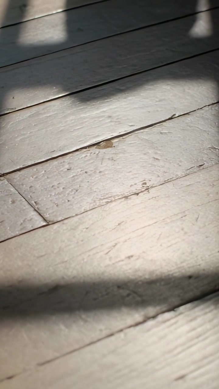 Lodret video: Vippende kamera viser malede planker ved vinduet, centrerer en plet i samlingen for at fokusere.