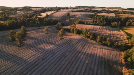 Experience-the-beauty-of-nature's-symphony-at-dusk-in-the-countryside