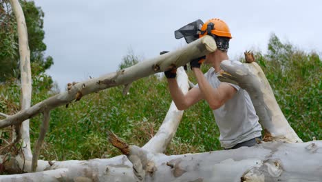 Lumberjacks-cutting-tree-branch-in-the-forest-4k