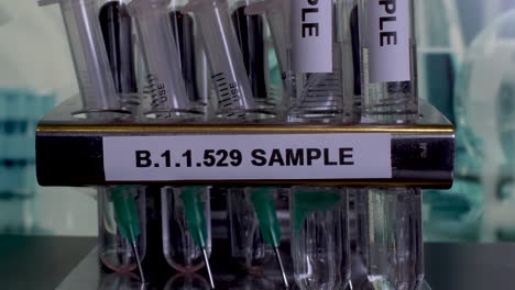 test tubes named samples are filmed from the front