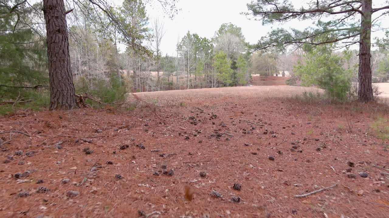 vuelo de aviones no tripulados en el país bastante