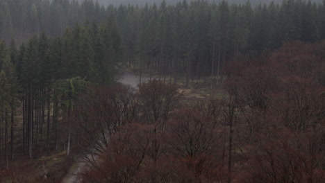 Herbstlandschaft-Im-Sauerlandwald