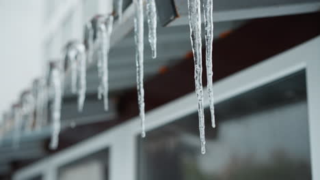 close-up of metal roof edge with long, transparent icicles dripping water droplets, showcasing the intricate frozen structure and slow thawing process in winter against a blurred urban background