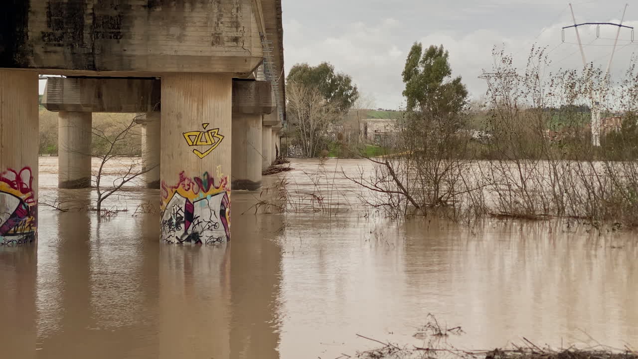 Мутная речная вода, поднимающаяся вокруг бетонных опор моста с граффити, демонстрирует последствия городского наводнения и экологических проблем.