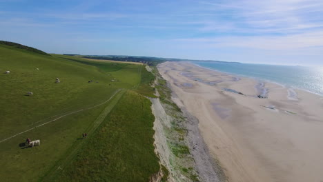 Two-people-jogging-next-to-a-field-with-cows-at-the-top-of-a-cliff-in-Le-Petit-Blanc-Nez,-Escalles-on-the-Opal-Coast