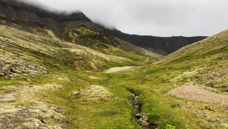 verde valle islandés con un pequeño arroyo bajo cielos nublados, estado de ánimo de tranquilidad