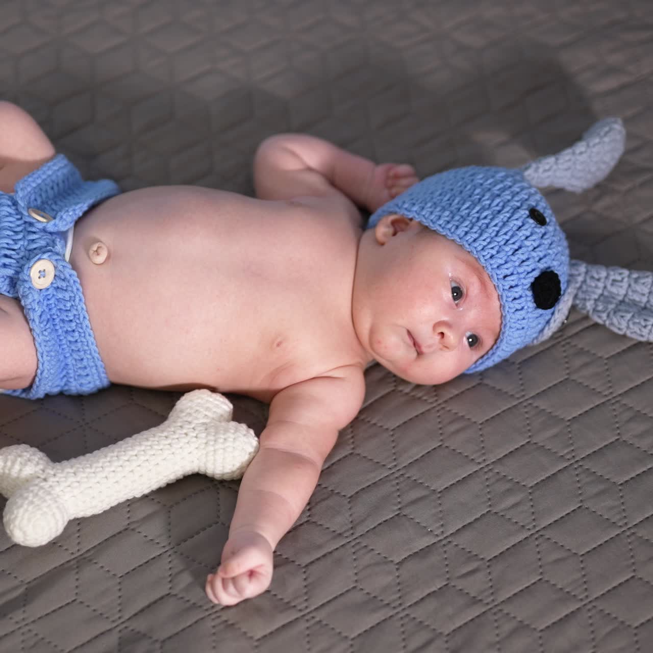 Funny costume of a puppy put on a small baby. Soft toy bone beside the child. Sweet little boy on a grey backdrop