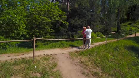 personas de edad avanzada dando los cinco altos durante la carrera en el parque de verano