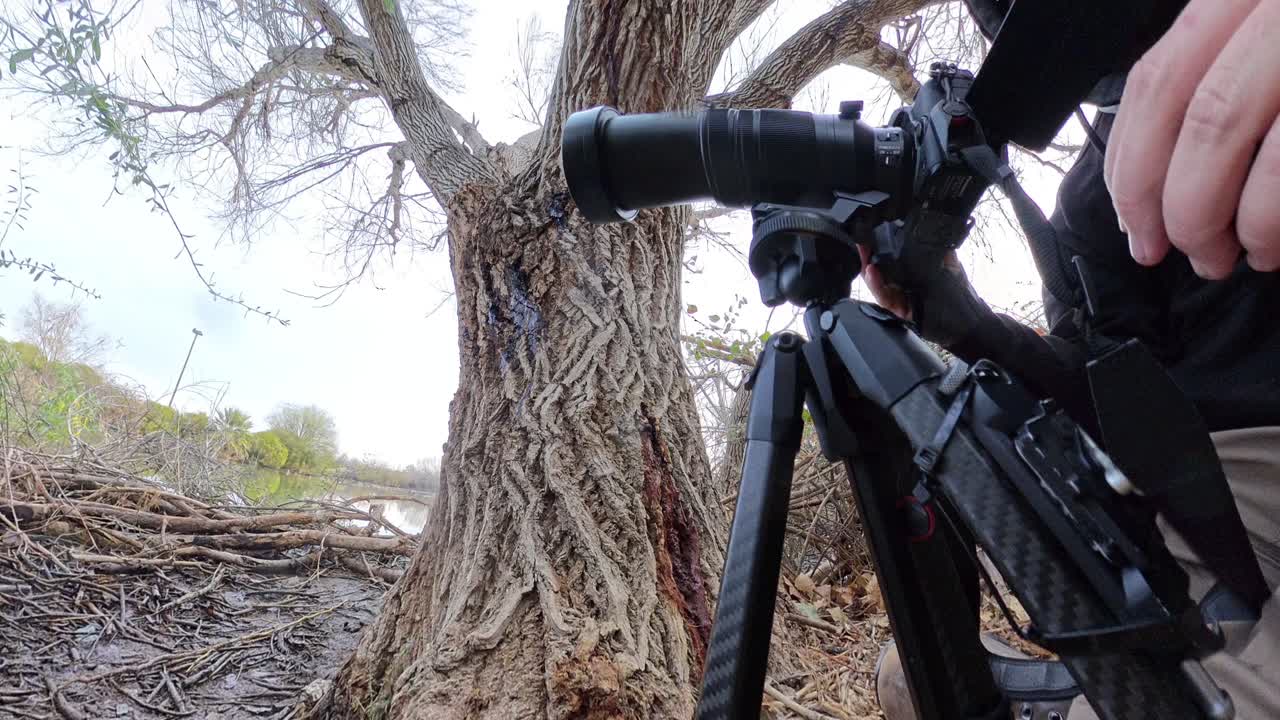 Photographer working on a camera behind his tripod in nature preserve.