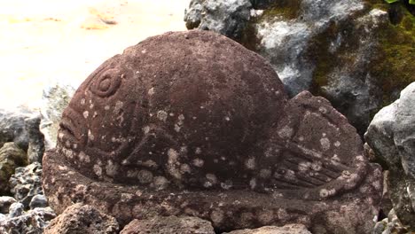 detalle de una escultura de un pez en taputapuatea marae, raiatea, islas sociedad, polinesia francesa