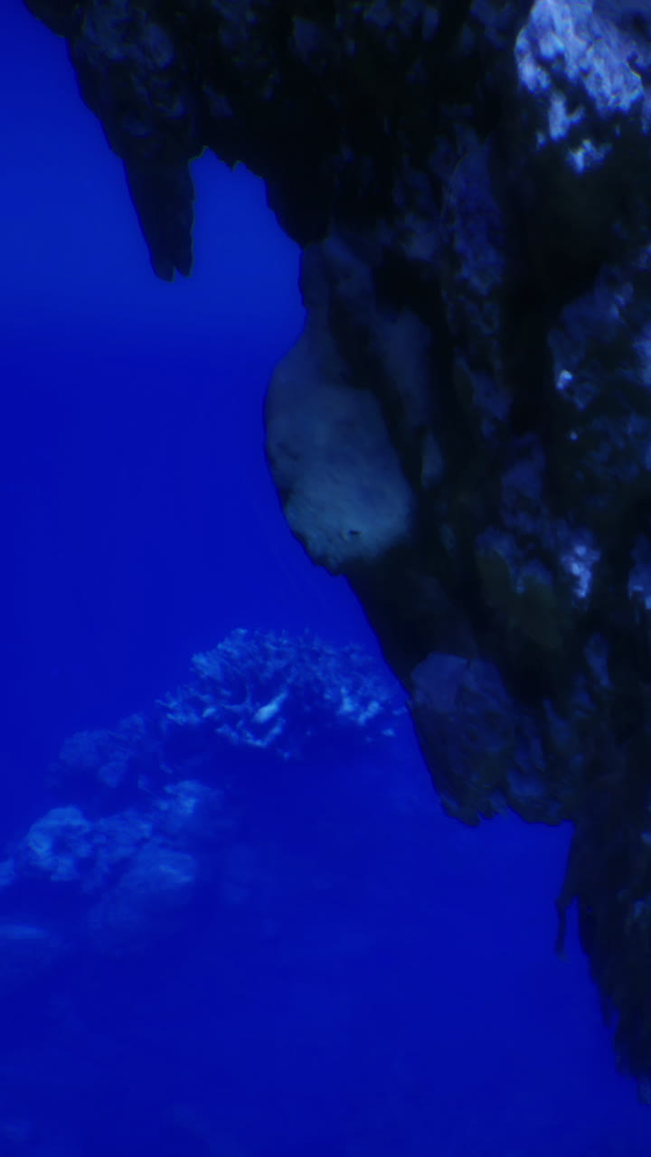 Underwater scene with rocks and marine life in deep blue water