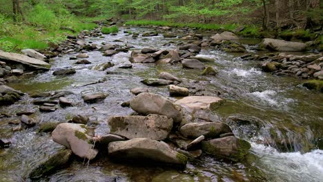 Imágenes-De-Drones-En-Cámara-Lenta-De-ángulo-Bajo-De-Un-Hermoso-Arroyo-En-Un-Bosque-Mágico,-Verde-Y-Exuberante-Con-Un-Sol-Poniente