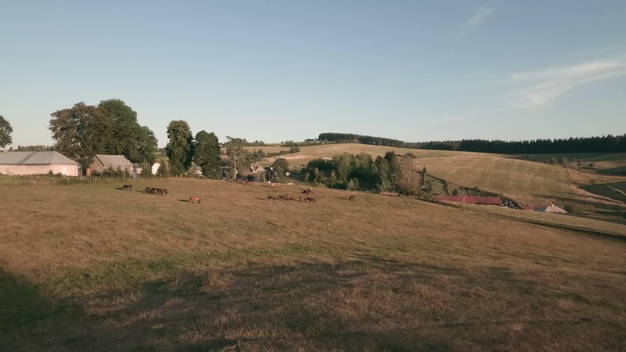 Experience the exhilaration of flying above Central Slovakia's scenic landscapes, capturing breathtaking drone footage of majestic Hucul ponies in their serene rural habitat