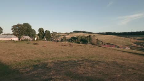 Experience-the-exhilaration-of-flying-above-Central-Slovakia's-scenic-landscapes,-capturing-breathtaking-drone-footage-of-majestic-Hucul-ponies-in-their-serene-rural-habitat