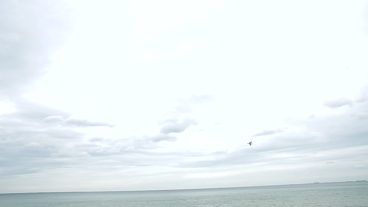 바다의 아름다운 전망