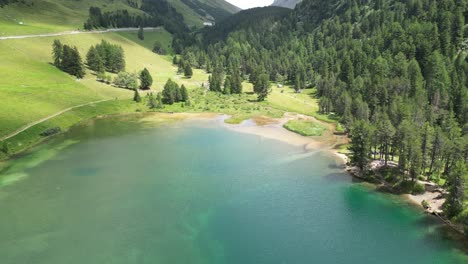 Wasserlauflandschaft,-Umgeben-Von-Bäumen