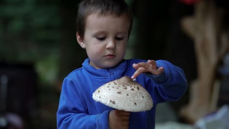 Kleiner-Kaukasischer-Junge,-Der-Mit-Seinem-Winzigen-Zeigefinger-Auf-Einen-Riesigen-Flachen-Pilz-Klopft,-Zeitlupe