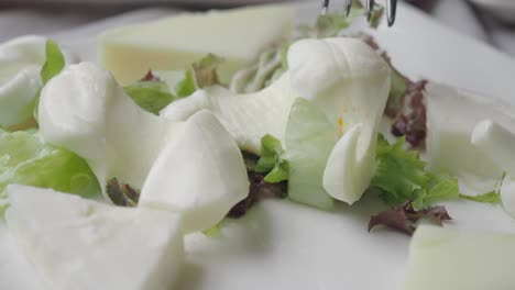ensalada de mozzarella en un plato