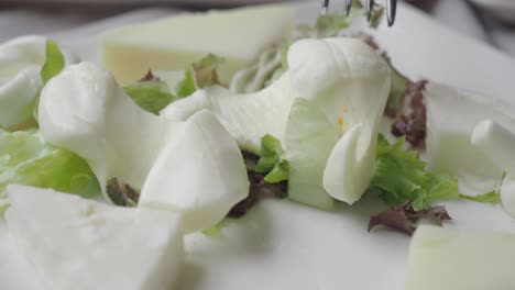 mozzarella salad on a plate