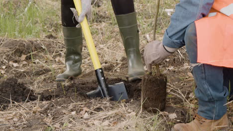 Vista-De-Cerca-De-Los-Pies-De-Un-Activista-Empujando-La-Pala-En-El-Suelo-Mientras-Un-Compañero-De-Trabajo-Planta-Un-árbol-En-El-Bosque