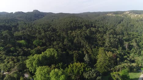 vista aérea del palacio de monserrate en sintra, portugal