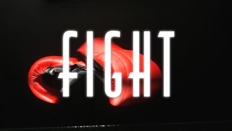 animation of fight text in white, over red and black boxing gloves on black background