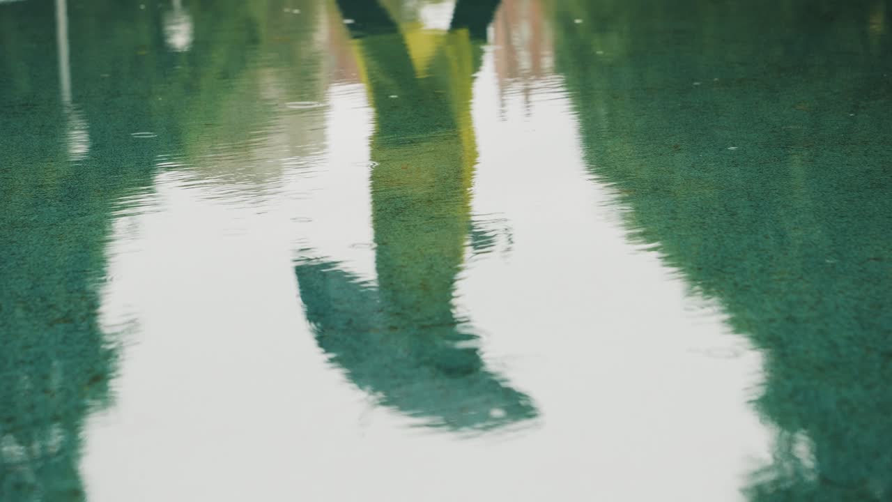 reflejo de arboles en el agua