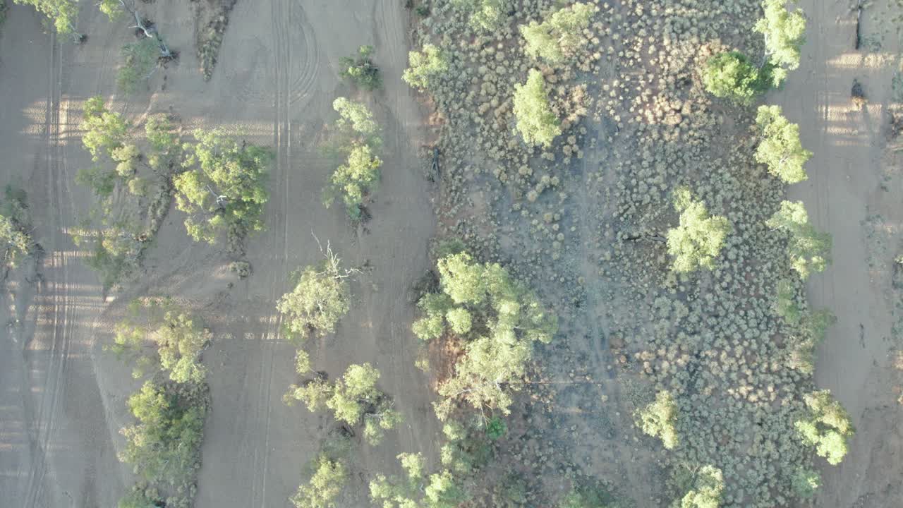 Vertical aerial footage of the dry Todd River with trees, then panning up along the river. Alice Springs, Mparntwe, Northern Territory, Australia. August 2022.