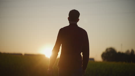 farmer silhouette at sunset over fields