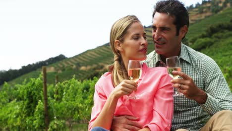 happy couple interacting while having a glass of wine in field