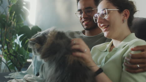 couple petting cute cat on sofa at home