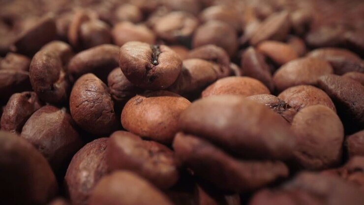 Сoffee beans are falling close-up