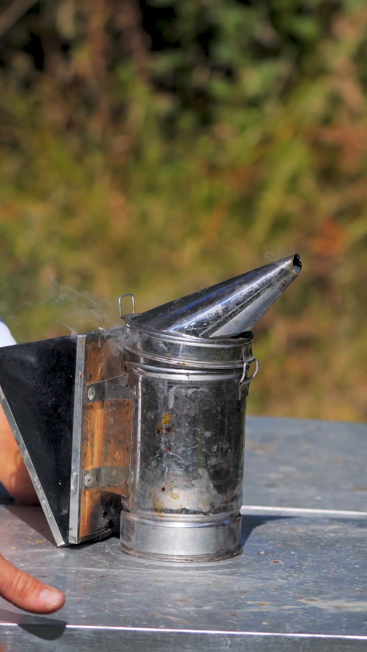 Bee smoker on apiary. Beekeeper working with hives uses chimney with smoke to protect from bees. Beekeeping process in summer nature. Vertical video
