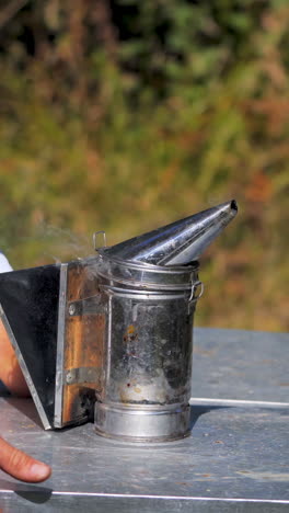 bee smoker on apiary. beekeeper working with hives uses chimney with smoke to protect from bees. beekeeping process in summer nature. vertical video