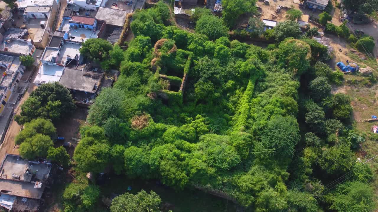Aerial shot of a fort covered in thick foliage in a village of north india