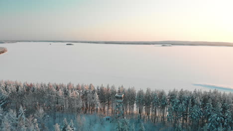 aerial, reverse, drone shot, away from a bird tower, between snowy, pine tree forest, overlooking the snowy lake pyhaselka, of saimaa, on a sunny, winter evening, in vuoniemi, north karelia, finland