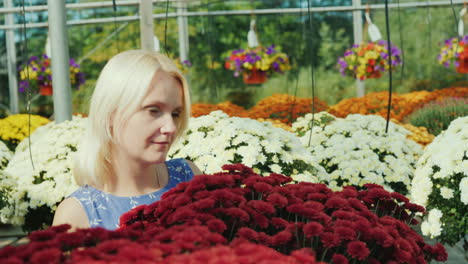 mujer entre flores en invernadero comercial