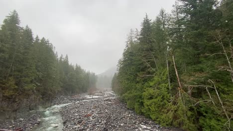 Amazing-view-of-the-small-river-that-runs-between-the-rocks-in-the-middle-of-the-pine-trees